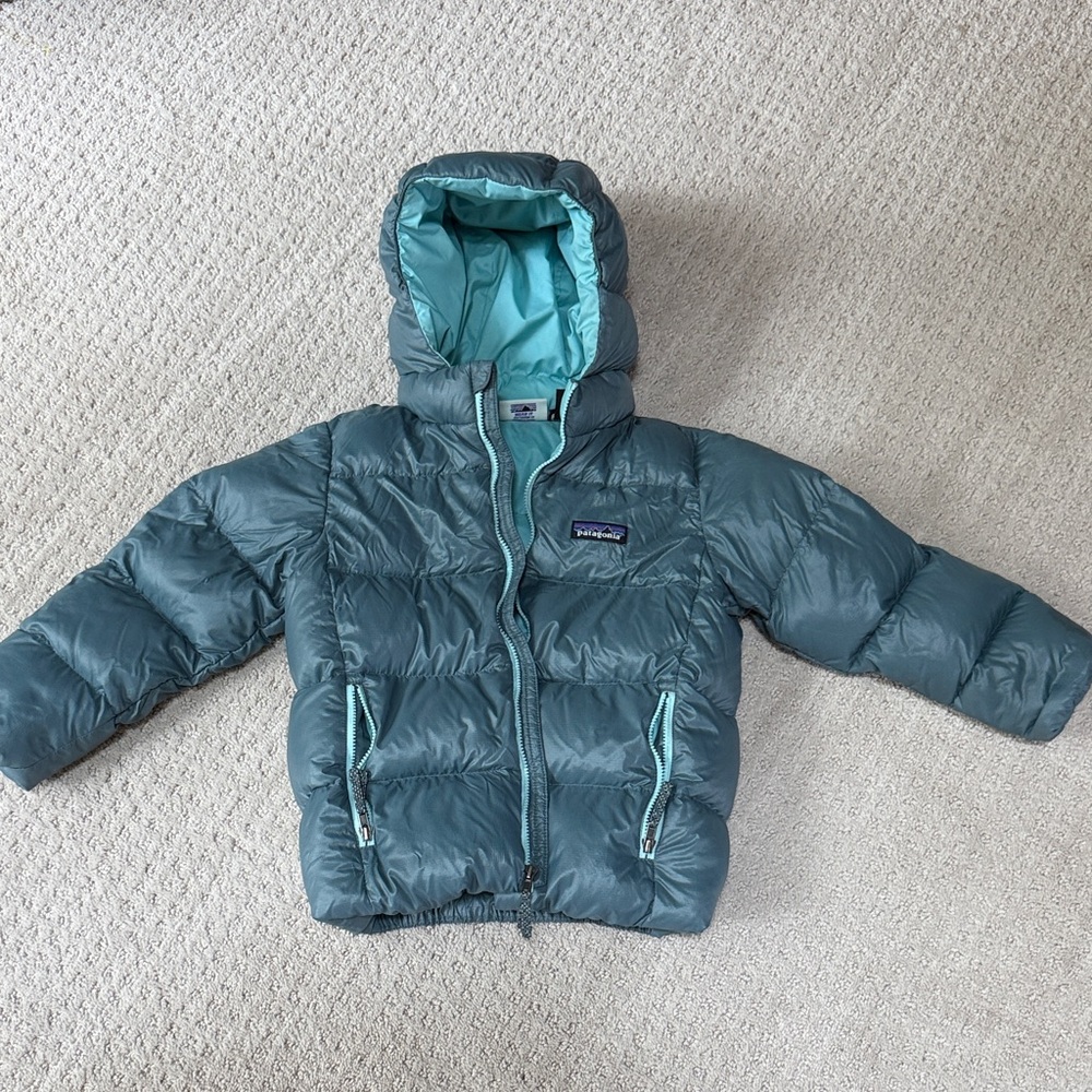 Patagonia Blue Hooded Puffer Jacket